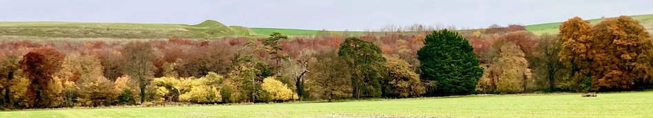 IMG_0025; Scratchbury autumn panorama